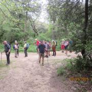 Img 7140
