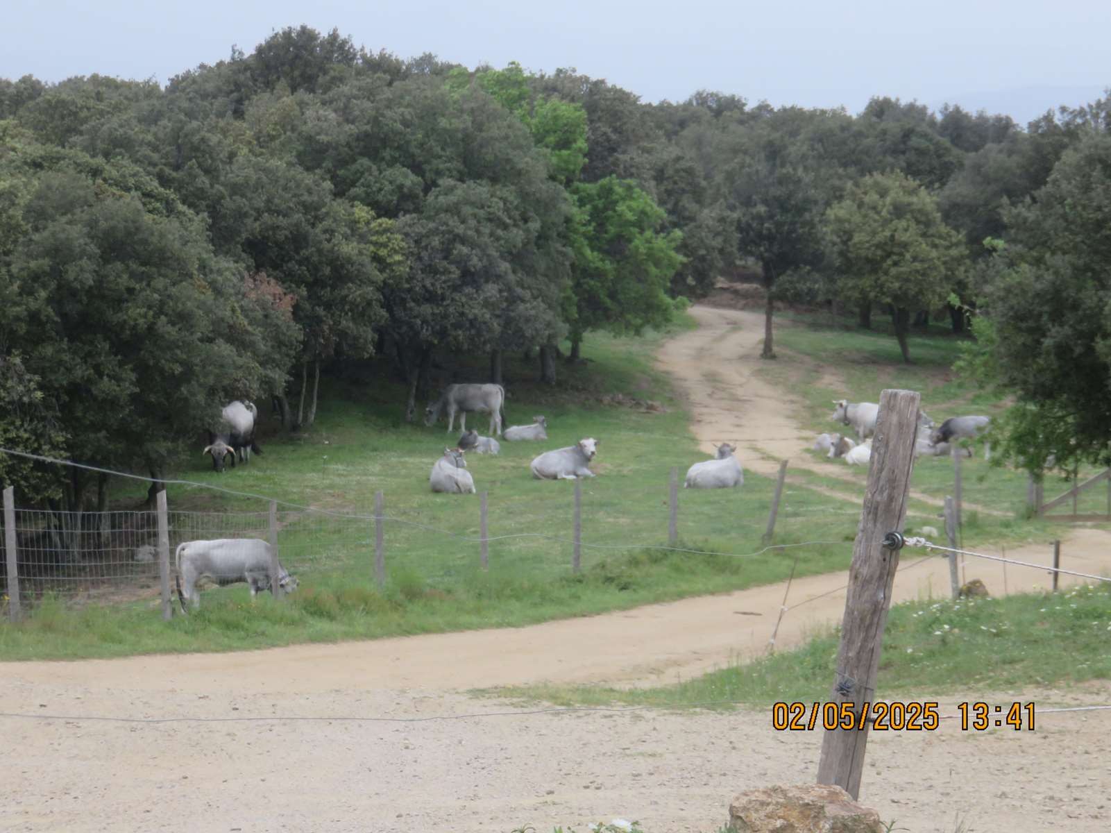 Img 7154