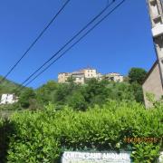 Img 7155