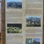 Img 7159