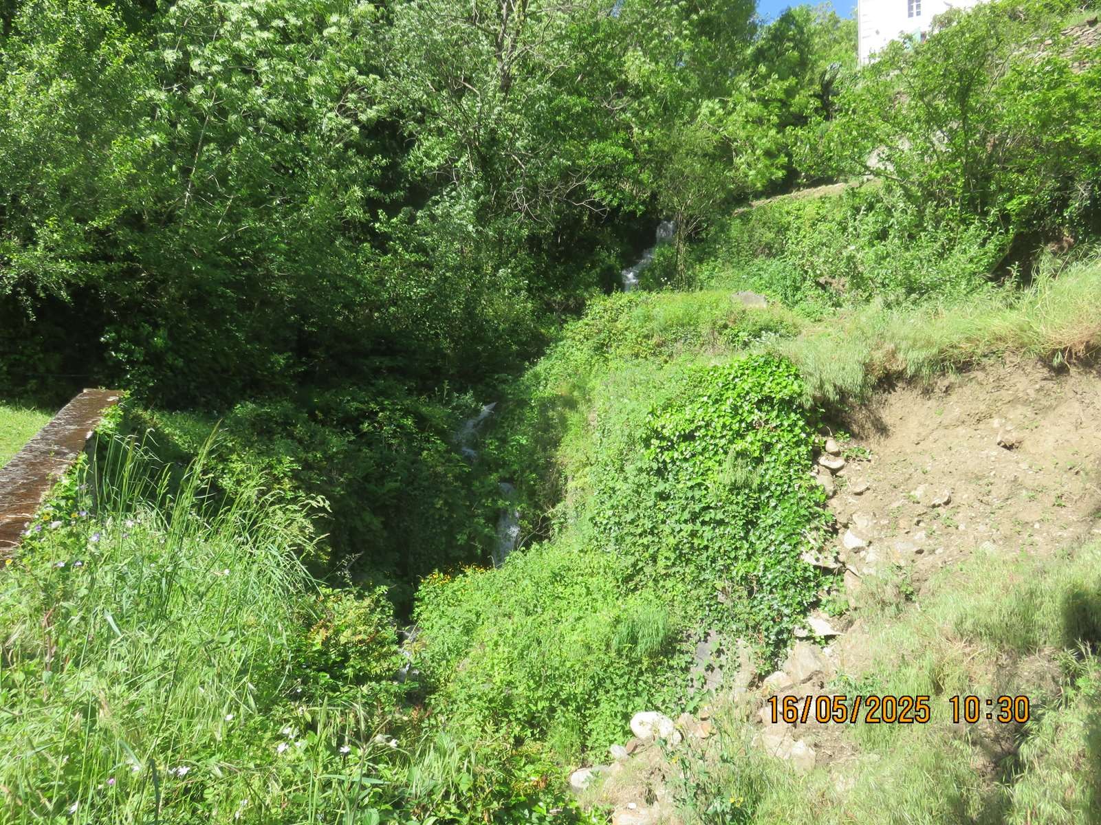 Img 7160