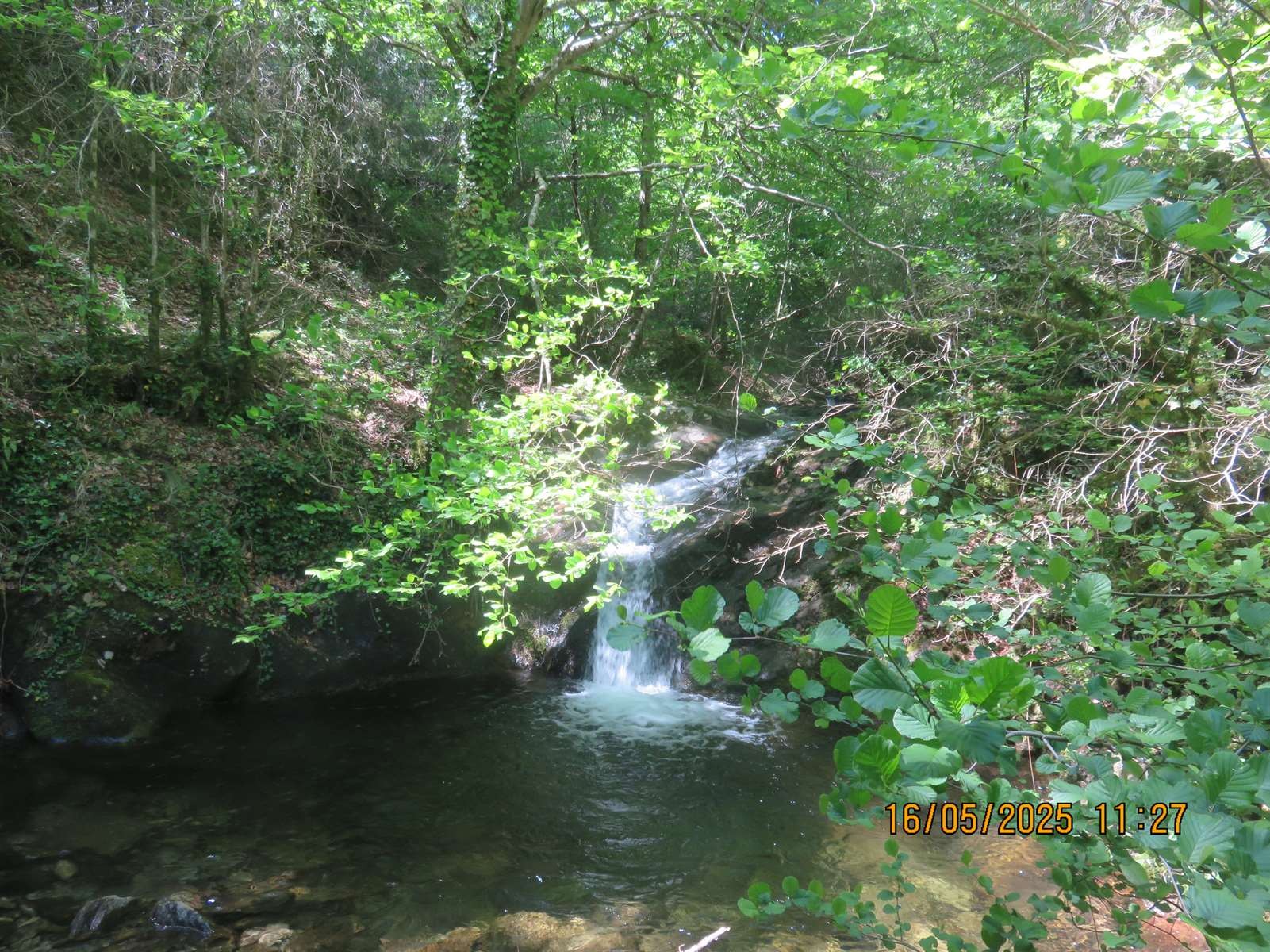 Img 7162