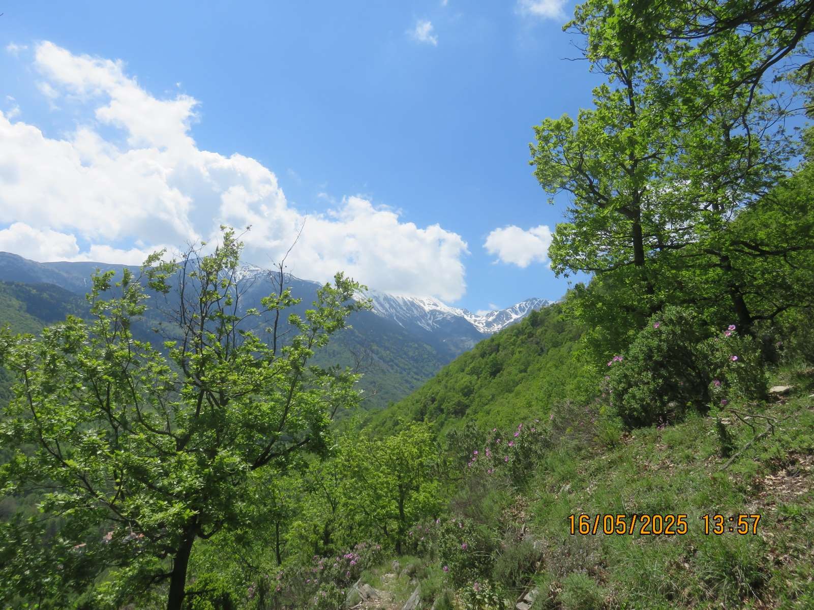 Img 7168
