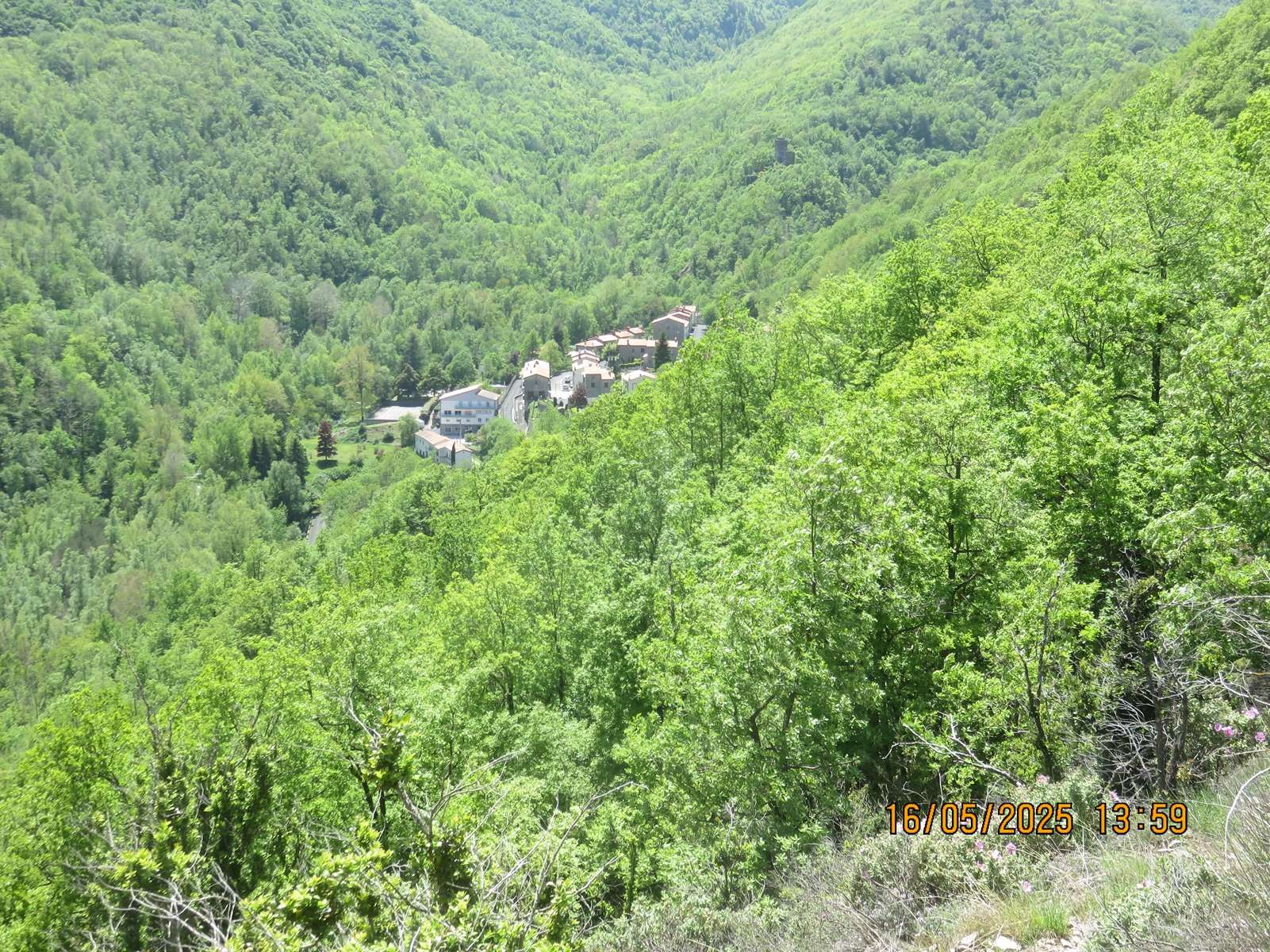 Img 7169