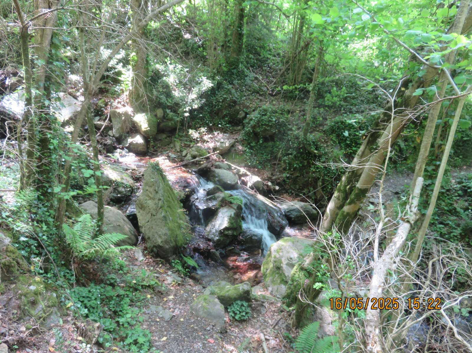 Img 7176