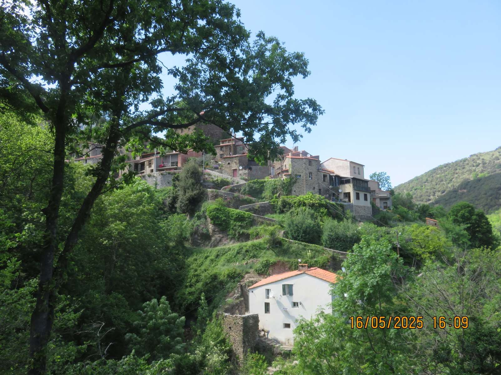 Img 7182