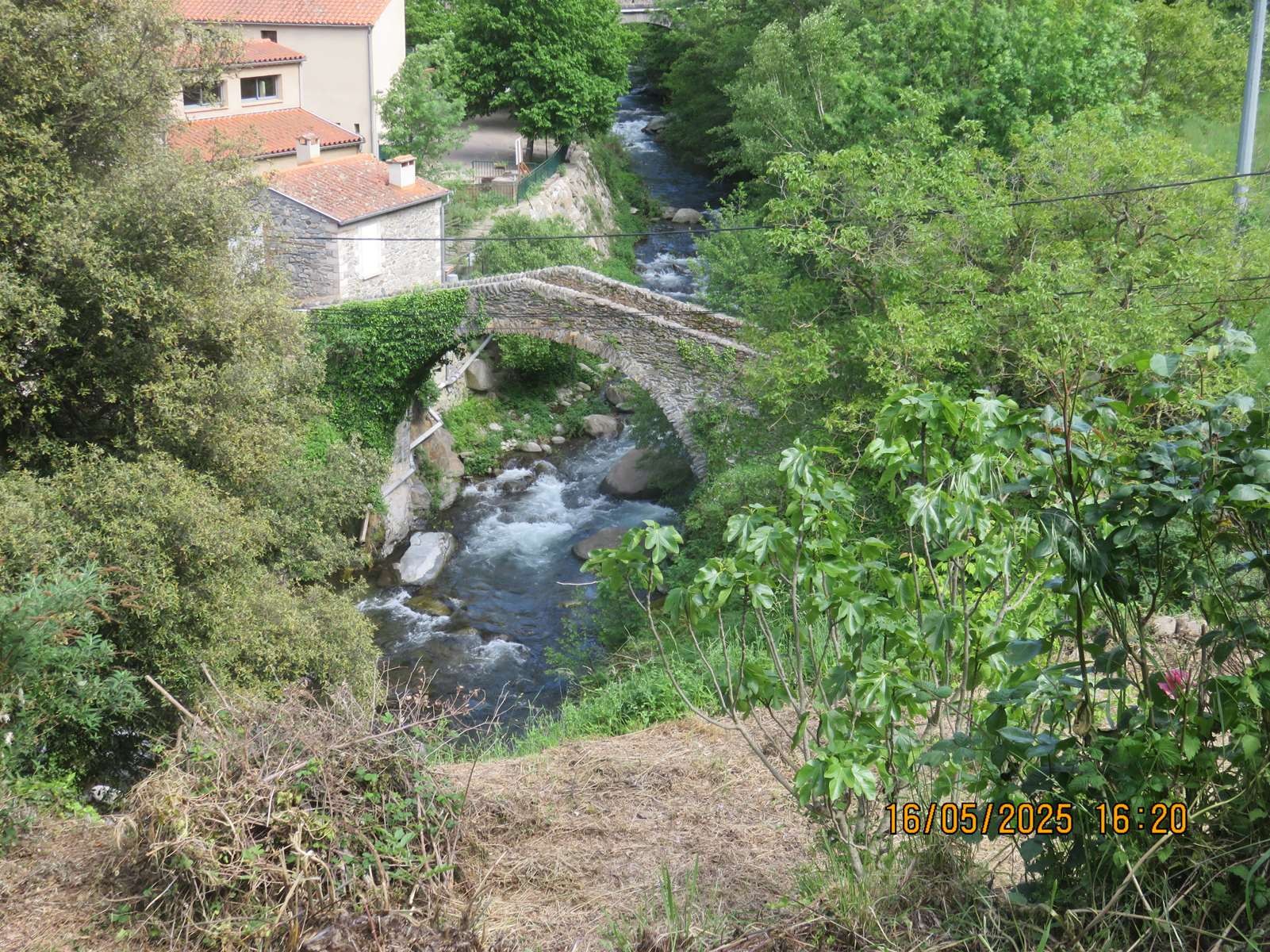 Img 7183