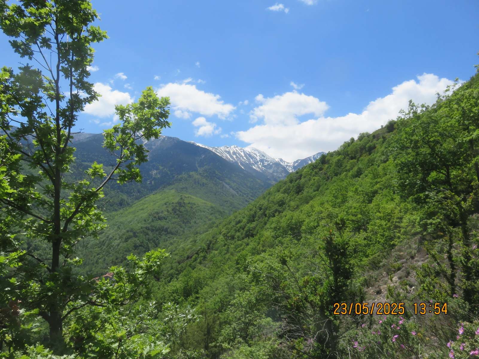Img 7190