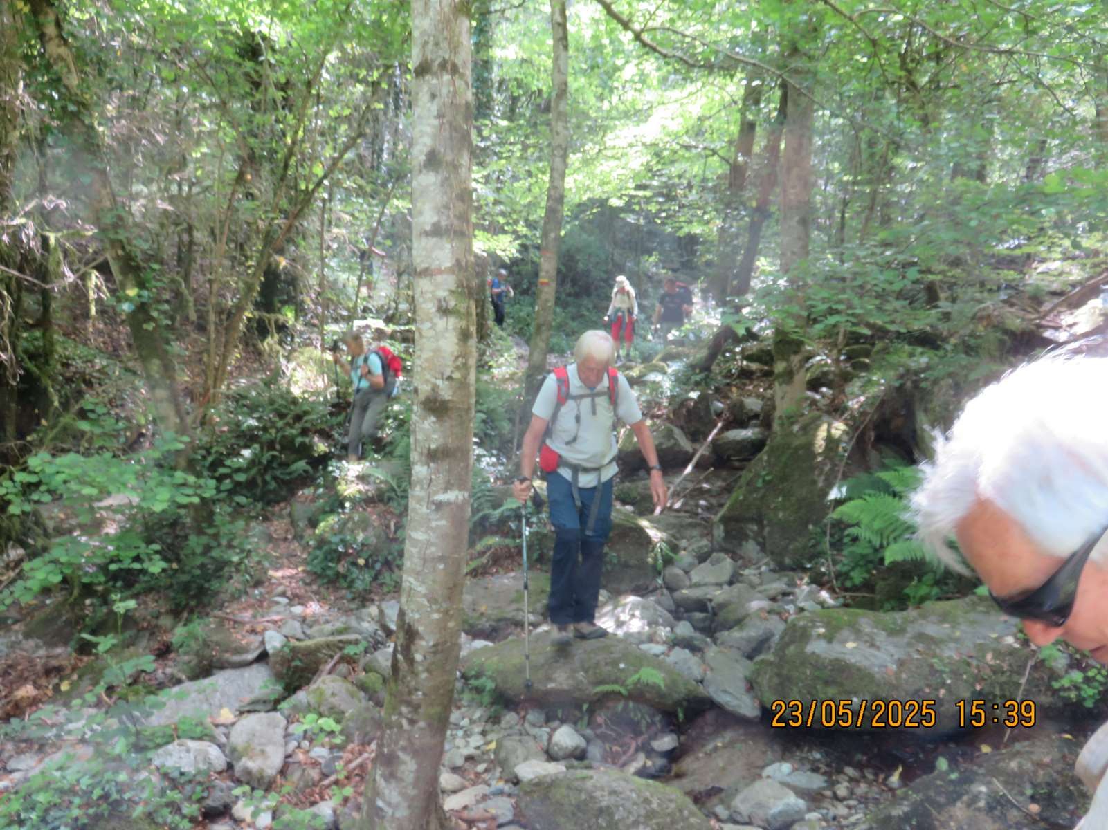Img 7194