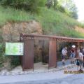 Img 7195
