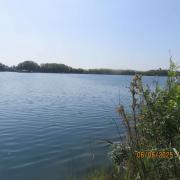 Img 7222
