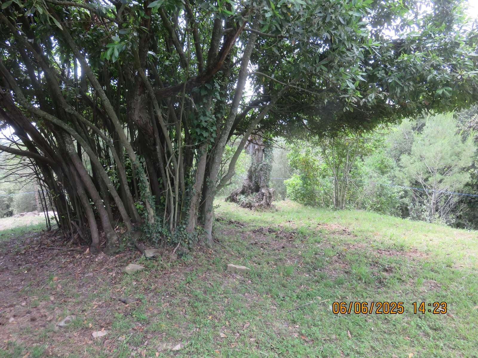 Img 7228