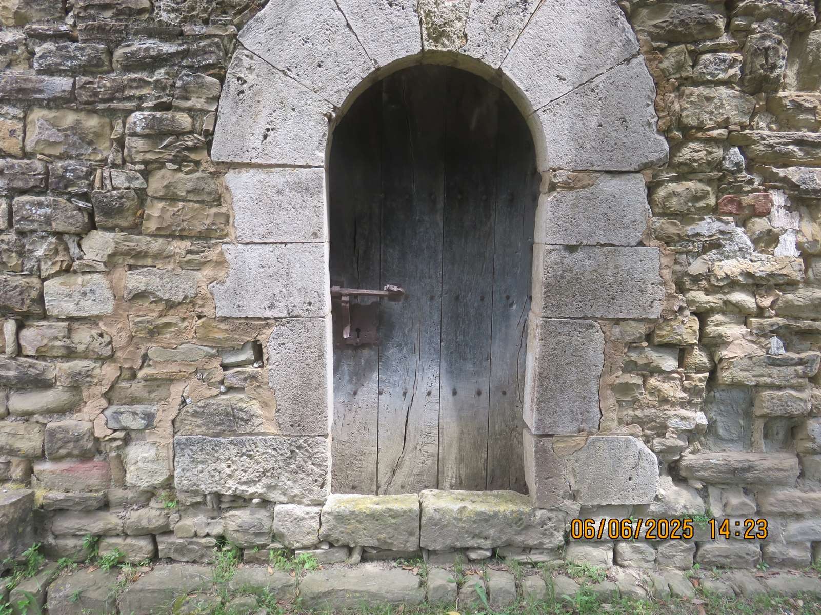 Img 7229
